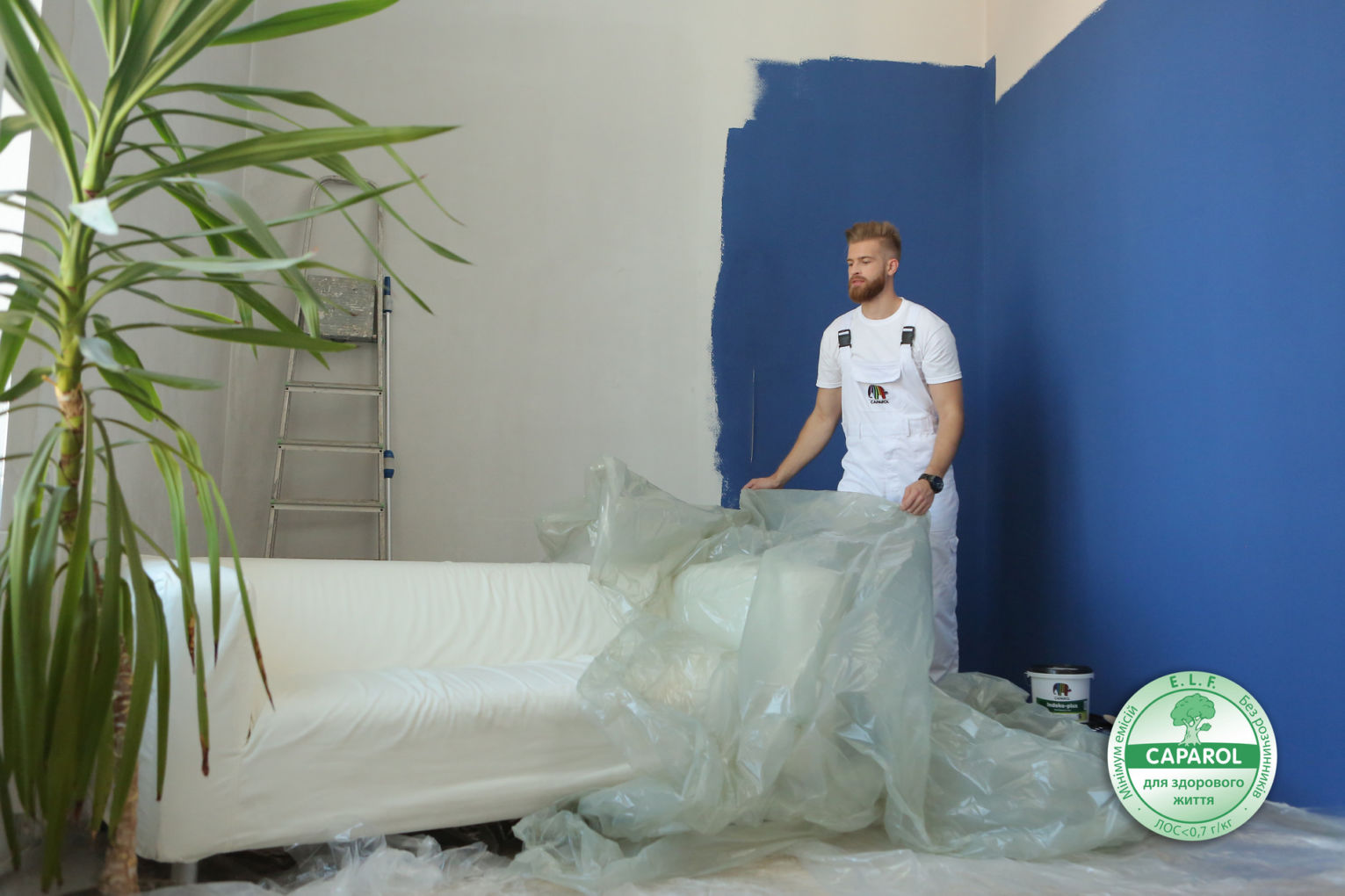 Екологічні та безпечні фарби для дому