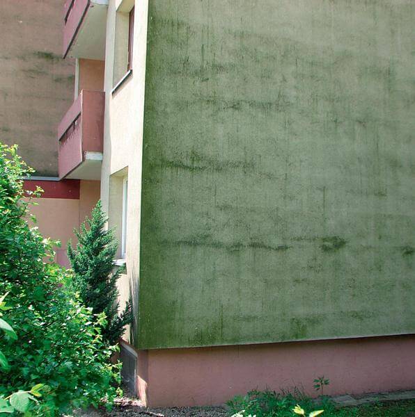 Яка фарба вигорає швидше