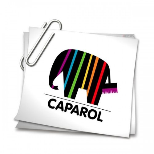 На що звернути увагу при виборі фарби від Caparol